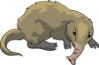 Long Nosed Shrew Clip Art